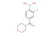 (2-fluoro-4-(morpholine-4-carbonyl)phenyl)boronic acid