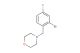 4-(2-bromo-4-fluorobenzyl)morpholine