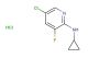 5-chloro-N-cyclopropyl-3-fluoropyridin-2-amine hydrochloride