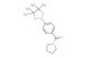 pyrrolidin-1-yl(4-(4,4,5,5-tetramethyl-1,3,2-dioxaborolan-2-yl)phenyl)methanone