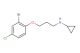 N-(3-(2-bromo-4-chlorophenoxy)propyl)cyclopropanamine