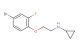 N-(2-(4-bromo-2-fluorophenoxy)ethyl)cyclopropanamine