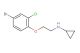 N-(2-(4-bromo-2-chlorophenoxy)ethyl)cyclopropanamine