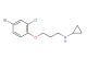 N-(3-(4-bromo-2-chlorophenoxy)propyl)cyclopropanamine