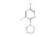5-chloro-3-fluoro-2-(pyrrolidin-1-yl)pyridine