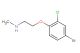 2-(4-bromo-2-chlorophenoxy)-N-methylethanamine