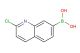 (2-chloroquinolin-7-yl)boronic acid