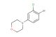 4-(4-bromo-3-chlorophenyl)morpholine