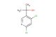 2-(4,6-dichloropyridin-3-yl)propan-2-ol