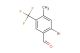 2-bromo-4-methyl-5-(trifluoromethyl)benzaldehyde