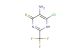 5-amino-6-chloro-2-(trifluoromethyl)-1H-pyrimidine-4-thione
