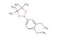 2-(3,4-dimethoxyphenyl)-4,4,5,5-tetramethyl-1,3,2-dioxaborolane
