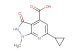 6-cyclopropyl-1-methyl-3-oxo-2,3-dihydro-1H-pyrazolo[3,4-b]pyridine-4-carboxylic acid