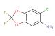 6-chloro-2,2-difluorobenzo[d][1,3]dioxol-5-amine