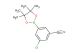 3-chloro-5-(4,4,5,5-tetramethyl-1,3,2-dioxaborolan-2-yl)benzonitrile