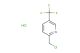2-(chloromethyl)-5-(trifluoromethyl)pyridine hydrochloride