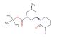 (3'R,5'S)-tert-butyl 3-iodo-5'-methyl-2-oxo-[1,3'-bipiperidine]-1'-carboxylate