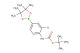 tert-butyl (2-chloro-4-(4,4,5,5-tetramethyl-1,3,2-dioxaborolan-2-yl)phenyl)carbamate