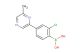 (2-chloro-4-(6-methylpyrazin-2-yl)phenyl)boronic acid