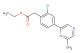 ethyl 2-(2-chloro-4-(6-methylpyrazin-2-yl)phenyl)acetate