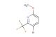 3-bromo-6-methoxy-2-(trifluoromethyl)pyridine