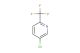 5-chloro-2-(trifluoromethyl)pyridine