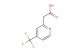 4-(trifluoromethyl)pyridine-2-acetic acid