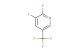 2-fluoro-3-iodo-5-(trifluoromethyl)pyridine