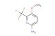 6-amino-3-methoxy-2-(trifluoromethyl)pyridine