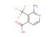 2-amino-3-(trifluoromethyl)isonicotinic acid