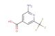 2-amino-6-(trifluoromethyl)isonicotinic acid