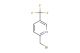 2-bromomethyl-5-(trifluoromethyl)pyridine