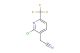2-chloro-6-(trifluoromethyl)pyridine-3-acetonitrile