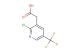 2-chloro-5-(trifluoromethyl)pyridine-3-acetic acid