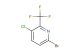 6-bromo-3-chloro-2-(trifluoromethyl)pyridine