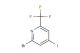 2-bromo-4-iodo-6-(trifluoromethyl)pyridine
