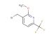 3-bromomethyl-2-methoxy-6-(trifluoromethyl)pyridine