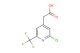 2-chloro-6-(trifluoromethyl)pyridine-4-acetic acid