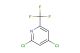 2,4-dichloro-6-(trifluoromethyl)pyridine