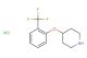 4-(2-(trifluoromethyl)phenoxy)piperidine hydrochloride