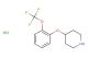4-(2-(trifluoromethoxy)phenoxy)piperidine hydrochloride