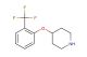 4-[2-(trifluoromethyl) phenoxy]piperidine