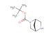 (1S,4S)-tert-butyl 2,5-diazabicyclo[2.2.1]heptane-2-carboxylate