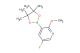 5-fluoro-2-methoxy-3-(4,4,5,5-tetramethyl-1,3,2-dioxaborolan-2-yl)pyridine