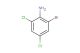 2-bromo-4,6-dichloroaniline