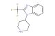 1-(piperidin-4-yl)-2-(trifluoromethyl)-1H-benzo[d]imidazole