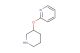 2-(piperidin-3-yloxy)pyridine