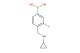 4-((cyclopropylamino)methyl)-3-fluorophenylboronic acid