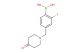 (2-fluoro-4-((4-oxopiperidin-1-yl)methyl)phenyl)boronic acid