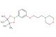 4-(3-(3-(4,4,5,5-tetramethyl-1,3,2-dioxaborolan-2-yl)phenoxy)propyl)morpholine